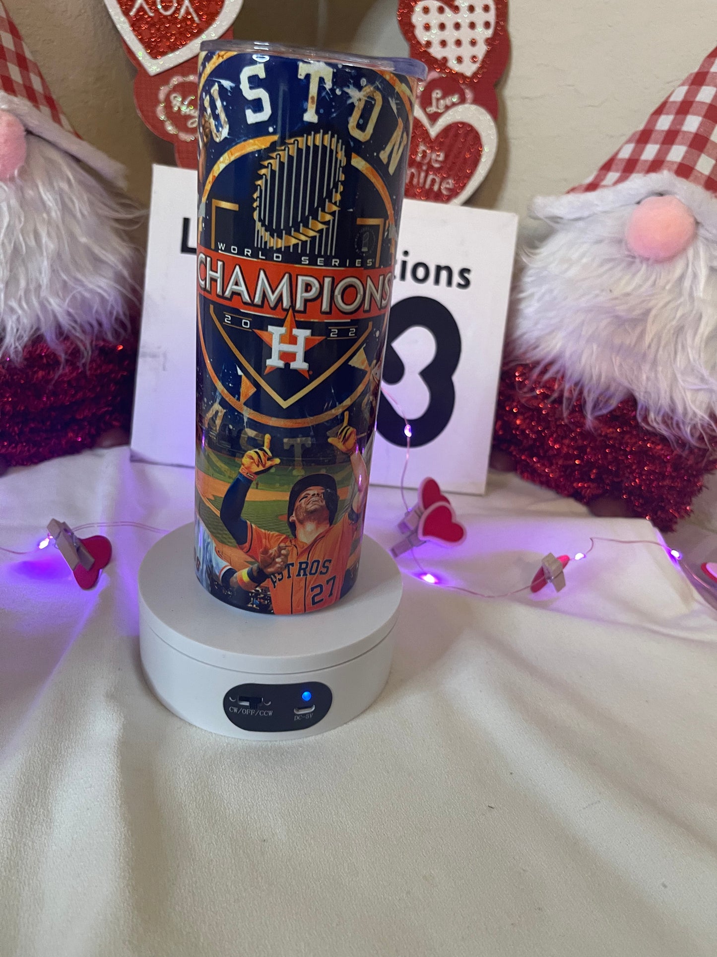 Houston Astros 20oz Skinny Tumbler
