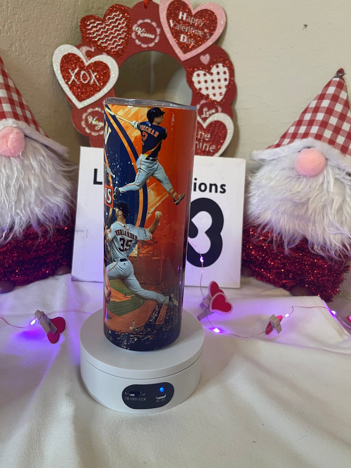 Houston Astros 20oz Skinny Tumbler