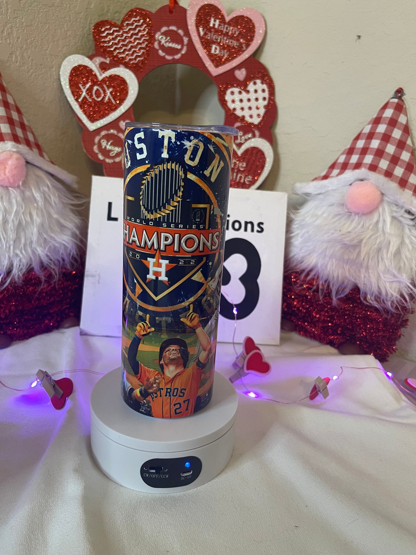 Houston Astros 20oz Skinny Tumbler